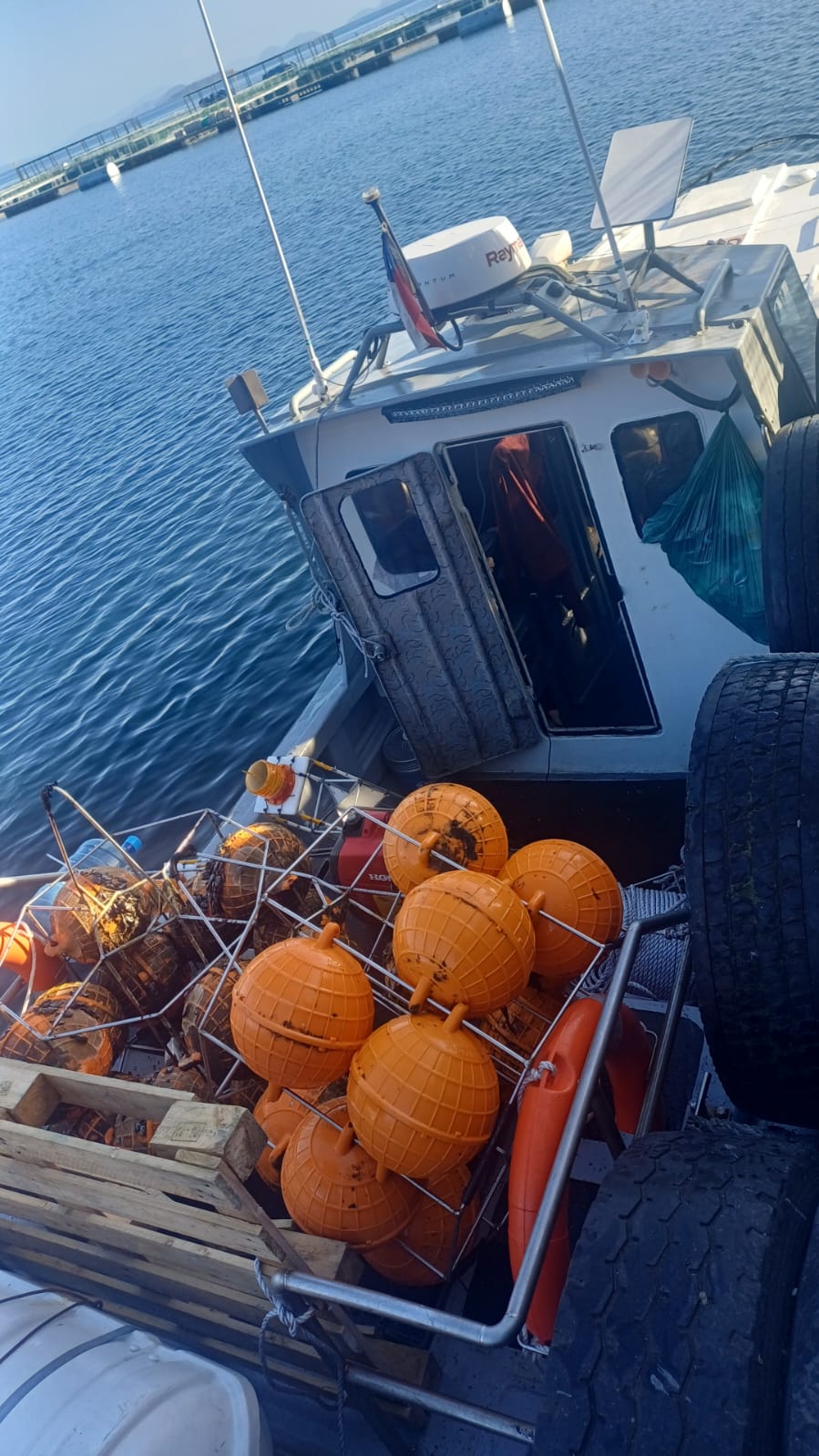 Consultoría Marítima